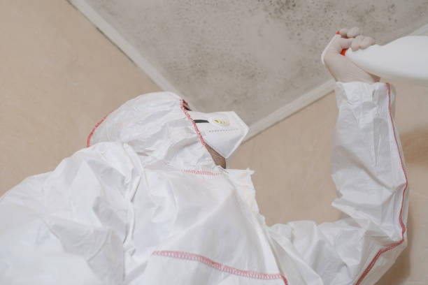 Best Professional Mold Removal  in Minster, OH